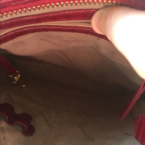 SOLD SOLD. Gorgeous Red Brahmin - Picture 3 of 4